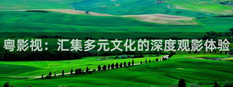 51视频下载怎么弄：粤影视：汇集多元文化的深度观影体验
