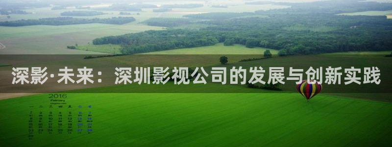 51视频日本：深影·未来：深圳影视公司的发展与创新实践