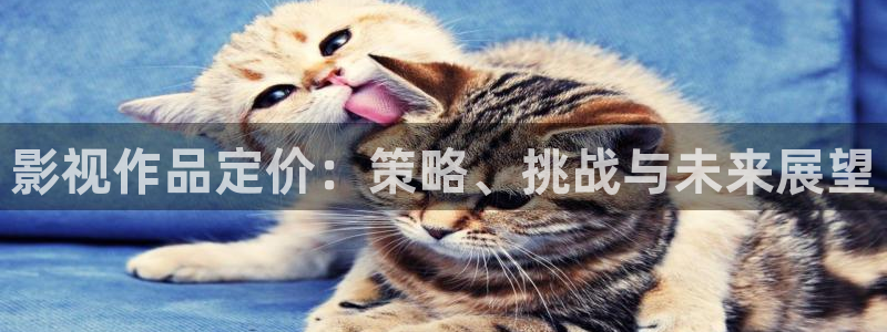 51视频播放器：影视作品定价：策略、挑战与未来展望