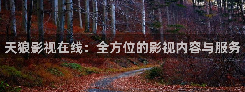 51视频在线视频观看软件的优势：天狼影视在线：全方位的影视内容与服务