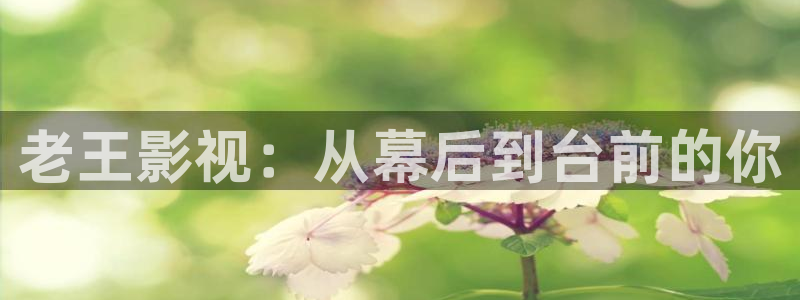 51视频怎么下载：老王影视：从幕后到台前的你