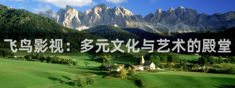 51视频网怎么样：飞鸟影视：多元文化与艺术的殿堂