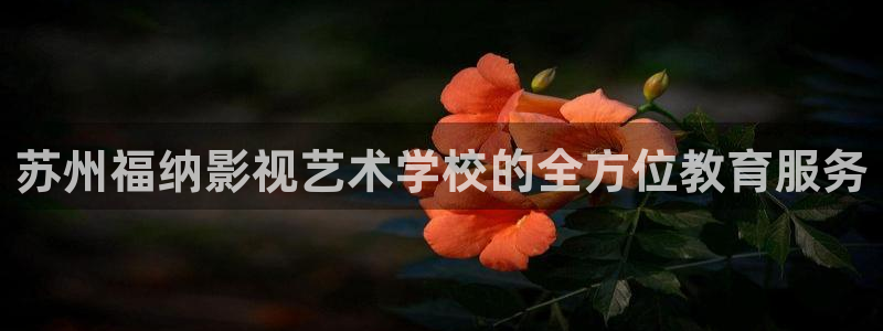 51视频精品全部免费：苏州福纳影视艺术学校的全方位教育服务